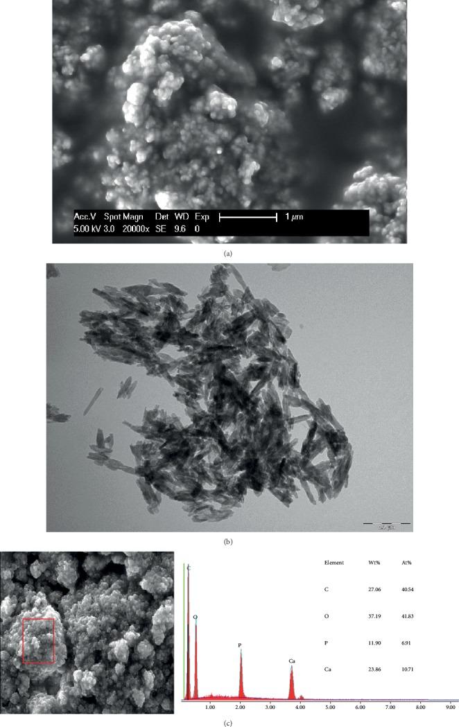 https://cdn.ncbi.nlm.nih.gov/pmc/blobs/fa0c/7222588/29f05fc46c50/SCANNING2020-6065739.002.jpg