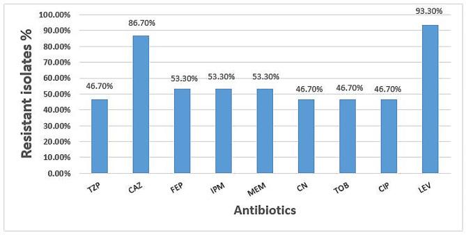 https://cdn.ncbi.nlm.nih.gov/pmc/blobs/fa0e/11170807/41cf7212e4b5/12934_2024_2438_Fig2_HTML.jpg