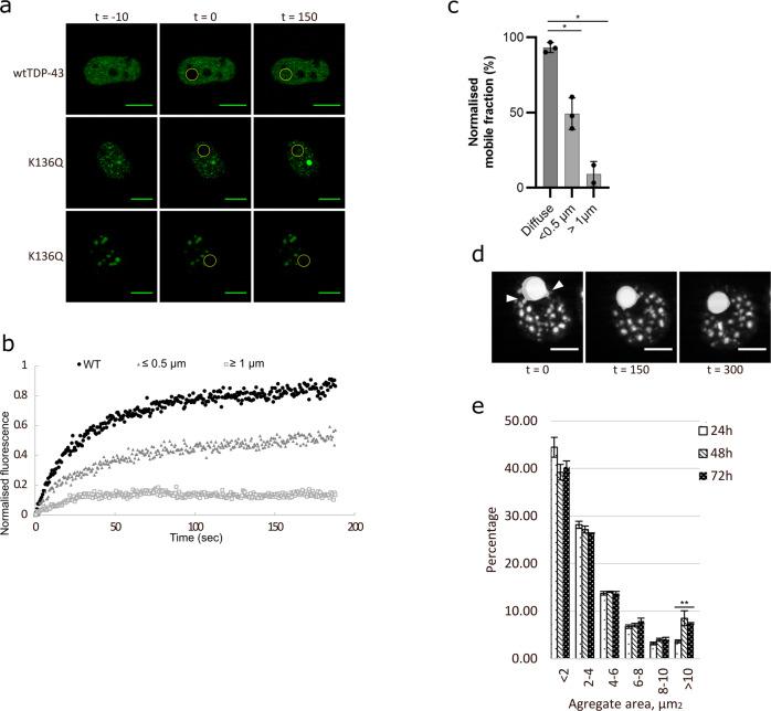 https://cdn.ncbi.nlm.nih.gov/pmc/blobs/fa0f/8907366/9c03aa121439/41467_2022_28822_Fig5_HTML.jpg