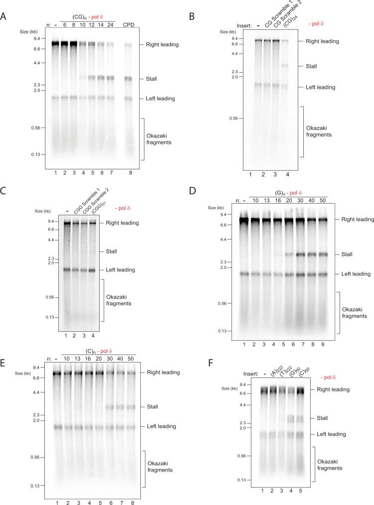 https://cdn.ncbi.nlm.nih.gov/pmc/blobs/fa12/9296464/04b329a85204/41467_2022_31657_Fig2_HTML.jpg