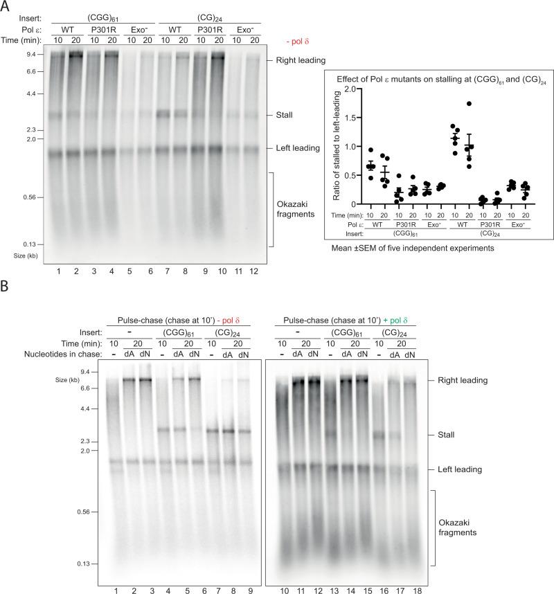 https://cdn.ncbi.nlm.nih.gov/pmc/blobs/fa12/9296464/7b3c0bad0fc3/41467_2022_31657_Fig5_HTML.jpg