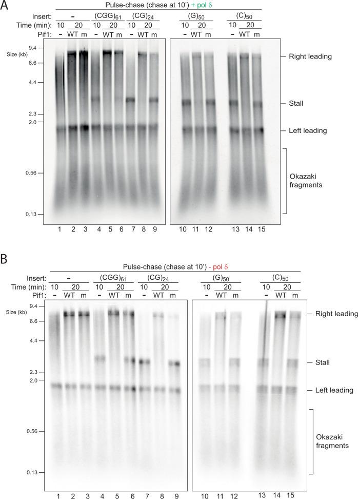 https://cdn.ncbi.nlm.nih.gov/pmc/blobs/fa12/9296464/a3d3fd14bd15/41467_2022_31657_Fig6_HTML.jpg