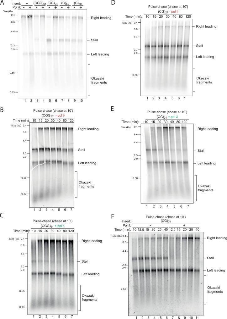 https://cdn.ncbi.nlm.nih.gov/pmc/blobs/fa12/9296464/cb928d669904/41467_2022_31657_Fig3_HTML.jpg