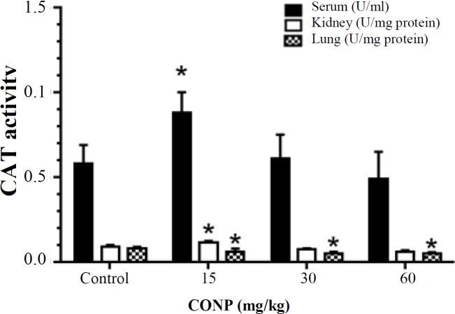 https://cdn.ncbi.nlm.nih.gov/pmc/blobs/fa13/7275813/660db9644783/ibj-24-251-g003.jpg