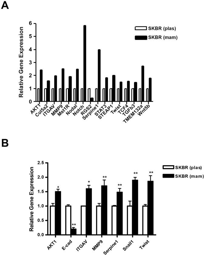 https://cdn.ncbi.nlm.nih.gov/pmc/blobs/fa14/3544824/4fa3a7a65a0b/pone.0053287.g003.jpg