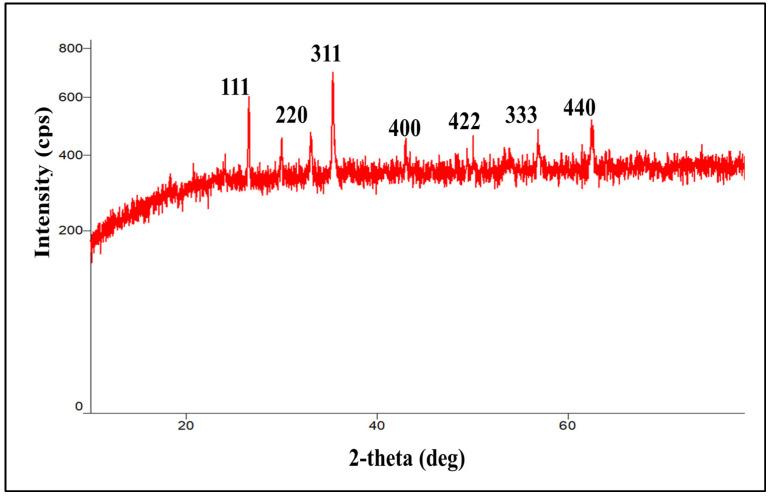 https://cdn.ncbi.nlm.nih.gov/pmc/blobs/fa16/10005561/ee31a4b9ea25/molecules-28-02343-g006.jpg