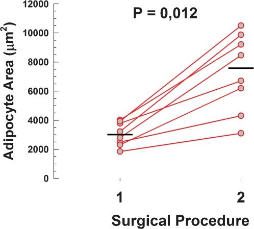 https://cdn.ncbi.nlm.nih.gov/pmc/blobs/fa16/3059872/795953068030/cln-66-02-307-g004.jpg