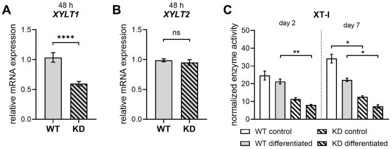 https://cdn.ncbi.nlm.nih.gov/pmc/blobs/fa17/12347940/34c35d8b7c19/ijms-26-07363-g0A4.jpg