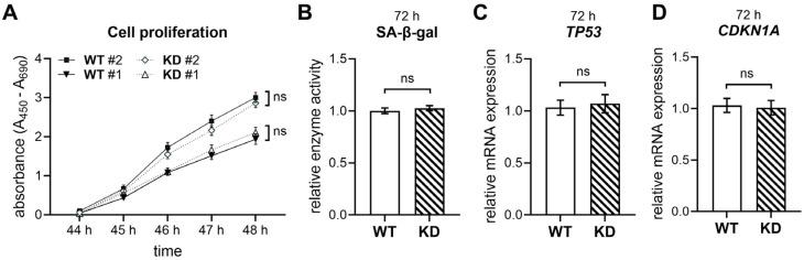 https://cdn.ncbi.nlm.nih.gov/pmc/blobs/fa17/12347940/4cfc5028963a/ijms-26-07363-g002.jpg
