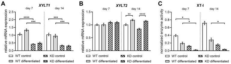 https://cdn.ncbi.nlm.nih.gov/pmc/blobs/fa17/12347940/5e2f114c4793/ijms-26-07363-g0A5.jpg