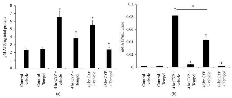 https://cdn.ncbi.nlm.nih.gov/pmc/blobs/fa17/4417973/28a5c803aa71/TSWJ2015-545048.004.jpg