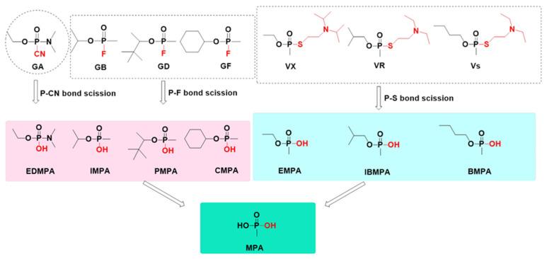 https://cdn.ncbi.nlm.nih.gov/pmc/blobs/fa17/9416412/8839c92b7d91/toxics-10-00439-g002.jpg
