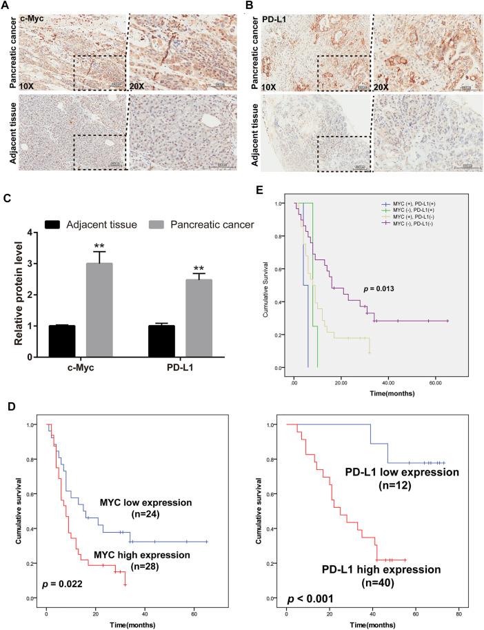 https://cdn.ncbi.nlm.nih.gov/pmc/blobs/fa18/9108354/2689d773fe87/fphar-13-851512-g001.jpg