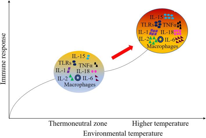 https://cdn.ncbi.nlm.nih.gov/pmc/blobs/fa19/7798204/b80ce9b09082/40104_2020_523_Fig5_HTML.jpg