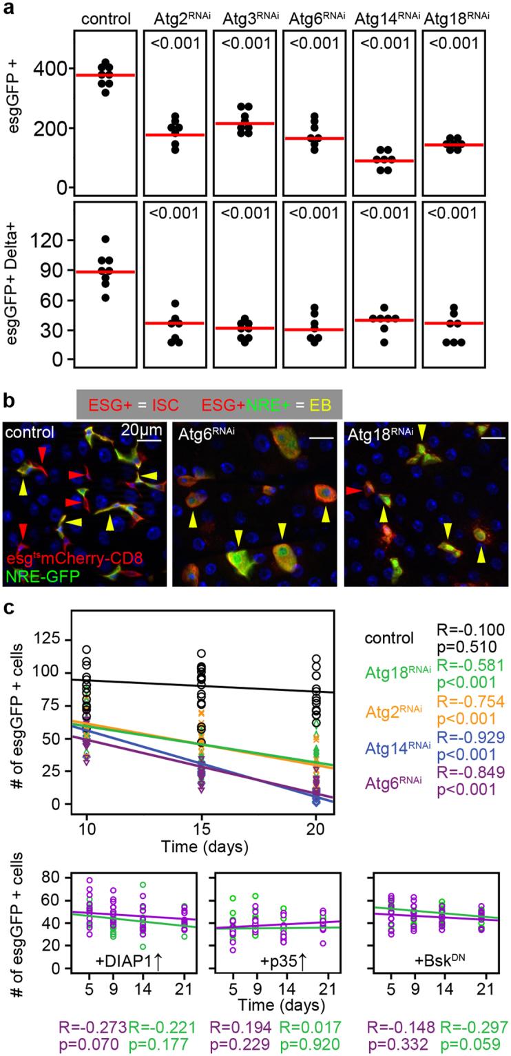 https://cdn.ncbi.nlm.nih.gov/pmc/blobs/fa1a/5854693/c818aa2cf304/41598_2018_23065_Fig3_HTML.jpg
