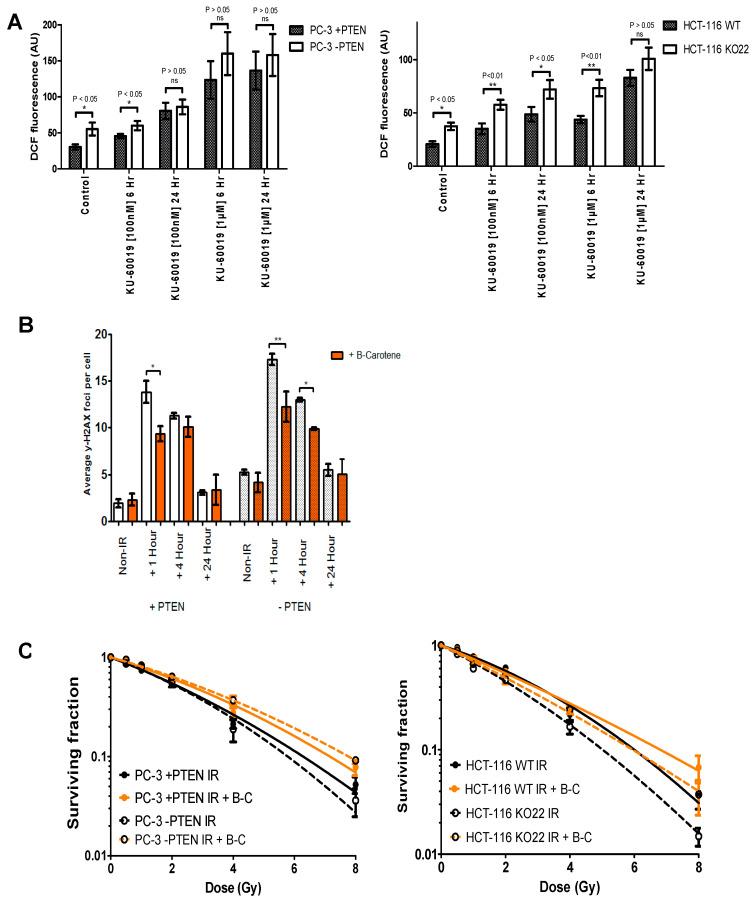 https://cdn.ncbi.nlm.nih.gov/pmc/blobs/fa1b/7794981/b825c5ca325e/cancers-13-00079-g005.jpg