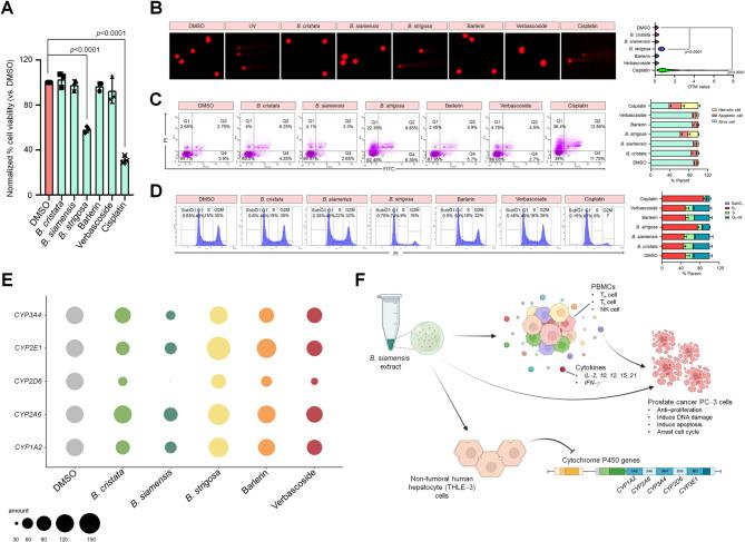 https://cdn.ncbi.nlm.nih.gov/pmc/blobs/fa1c/12214807/881ee3e88907/41598_2025_7397_Fig5_HTML.jpg