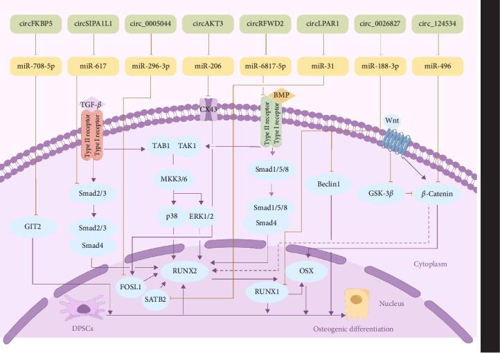 https://cdn.ncbi.nlm.nih.gov/pmc/blobs/fa1d/12081154/957cc69491bb/SCI2025-8338337.003.jpg
