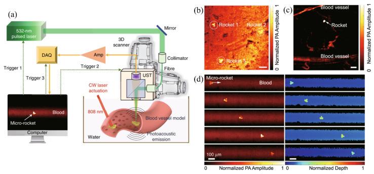 https://cdn.ncbi.nlm.nih.gov/pmc/blobs/fa1d/7582683/144a2aedeee3/sensors-20-05595-g011.jpg