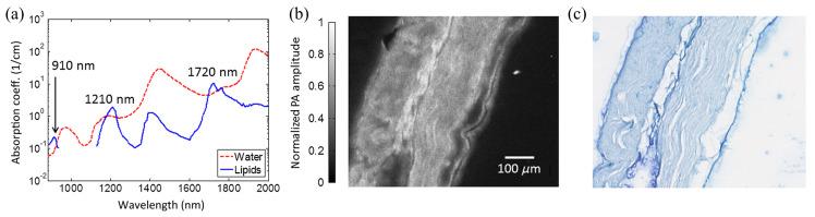 https://cdn.ncbi.nlm.nih.gov/pmc/blobs/fa1d/7582683/94a4fa3028b1/sensors-20-05595-g003.jpg