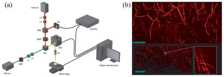 https://cdn.ncbi.nlm.nih.gov/pmc/blobs/fa1d/7582683/a3bd54252edb/sensors-20-05595-g013.jpg