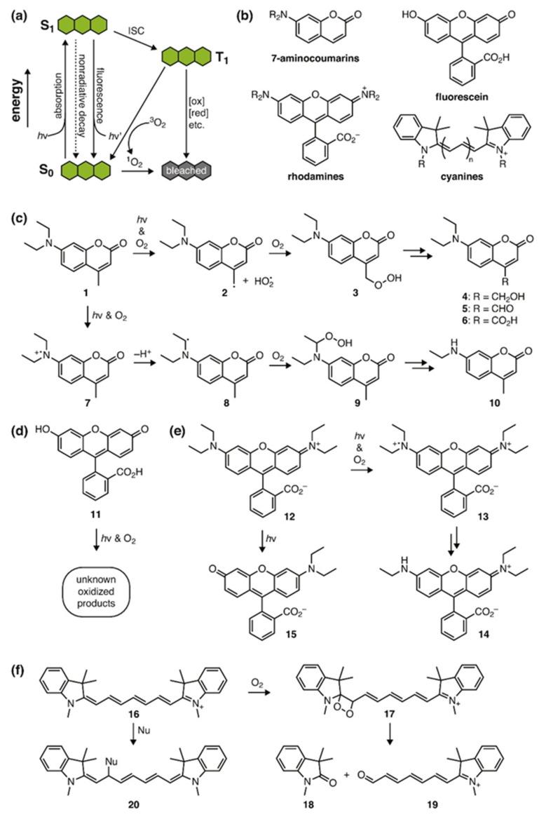 https://cdn.ncbi.nlm.nih.gov/pmc/blobs/fa1d/7582683/a9c95a66e1de/sensors-20-05595-g008.jpg