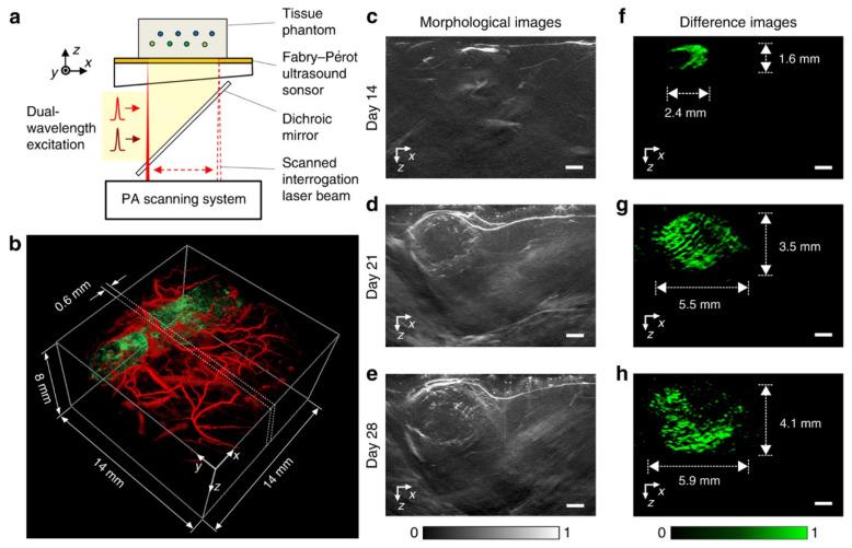 https://cdn.ncbi.nlm.nih.gov/pmc/blobs/fa1d/7582683/c1be8377072d/sensors-20-05595-g014.jpg