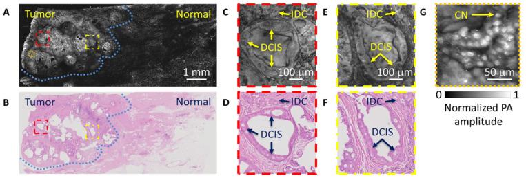 https://cdn.ncbi.nlm.nih.gov/pmc/blobs/fa1d/7582683/c9cc16e08920/sensors-20-05595-g002.jpg