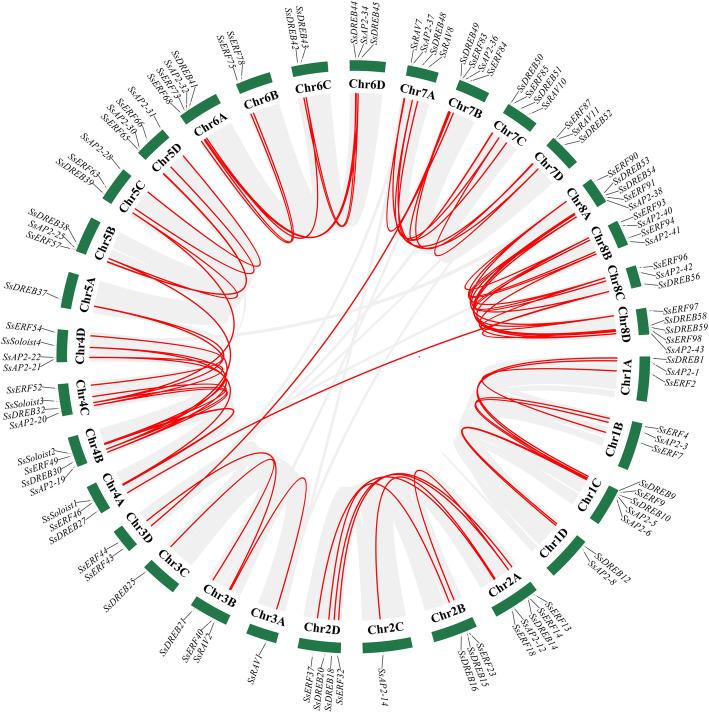 https://cdn.ncbi.nlm.nih.gov/pmc/blobs/fa1e/7531145/9daaa1819671/12864_2020_7076_Fig5_HTML.jpg