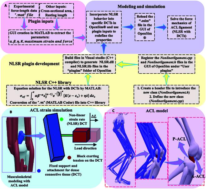 https://cdn.ncbi.nlm.nih.gov/pmc/blobs/fa24/11109754/91c8f4a10922/cbsystems.0126.fig.002.jpg