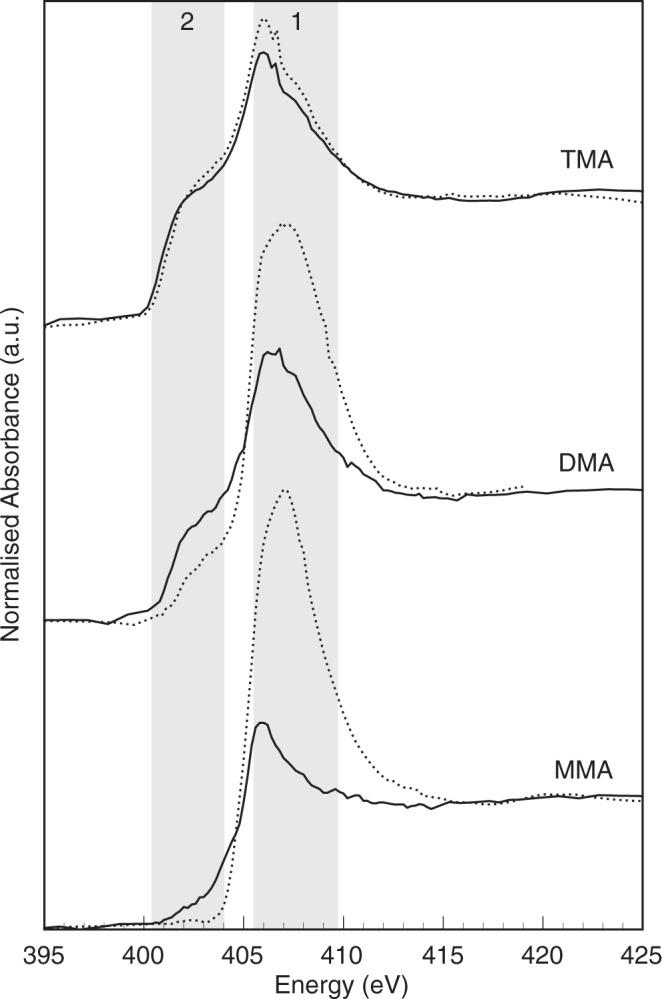 https://cdn.ncbi.nlm.nih.gov/pmc/blobs/fa24/9114137/2caa809840f6/41467_2022_30422_Fig4_HTML.jpg