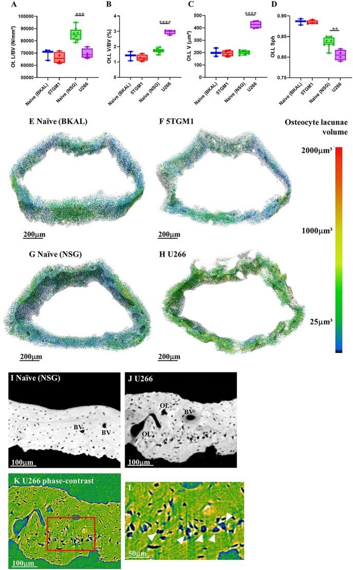 https://cdn.ncbi.nlm.nih.gov/pmc/blobs/fa25/11299509/3f3665e16b79/ziae093f2.jpg