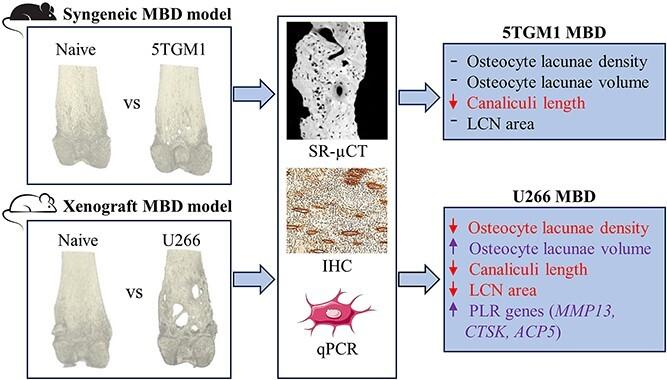 https://cdn.ncbi.nlm.nih.gov/pmc/blobs/fa25/11299509/fc9d739e05d3/ziae093ga1.jpg