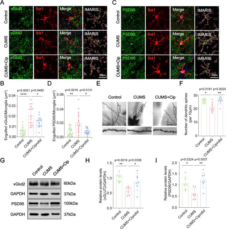 https://cdn.ncbi.nlm.nih.gov/pmc/blobs/fa25/12402433/21e88ed11113/DDDT-19-7553-g0004.jpg