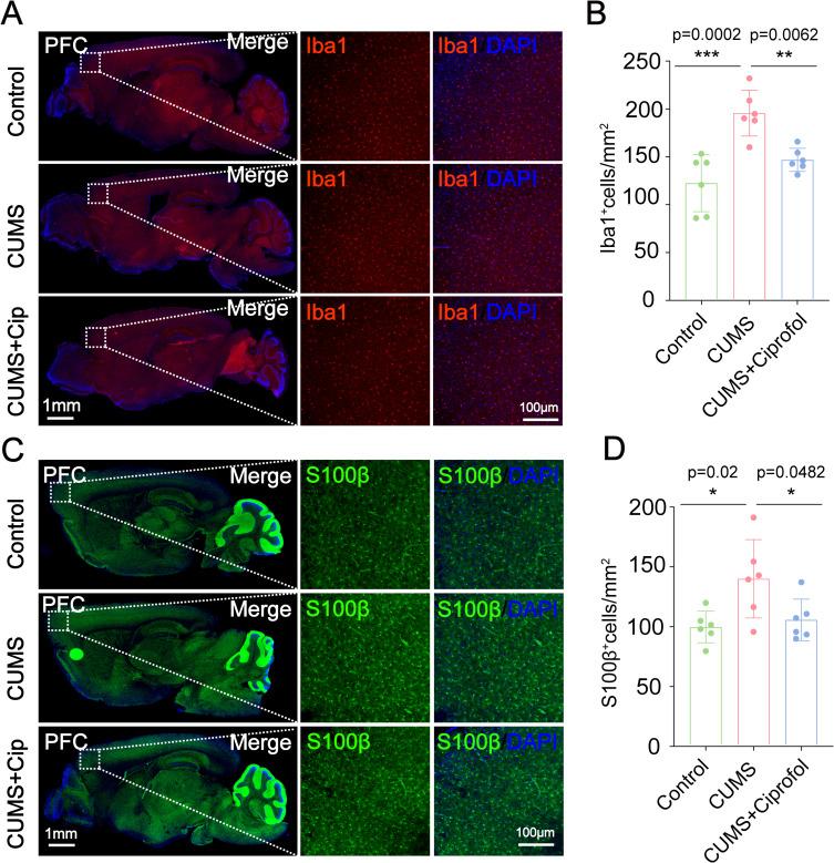 https://cdn.ncbi.nlm.nih.gov/pmc/blobs/fa25/12402433/f29982a9cda6/DDDT-19-7553-g0002.jpg