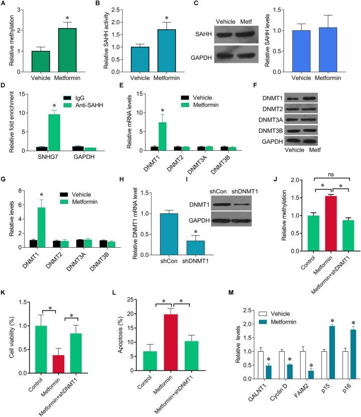 https://cdn.ncbi.nlm.nih.gov/pmc/blobs/fa26/6395377/7496f118a6c9/fphar-10-00143-g003.jpg