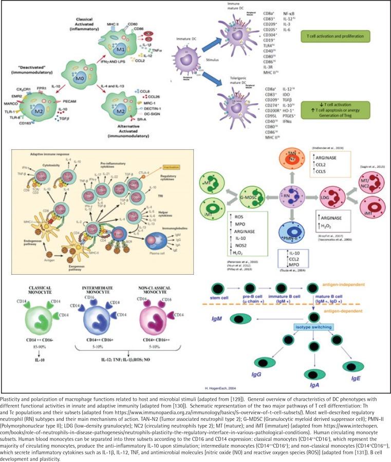 https://cdn.ncbi.nlm.nih.gov/pmc/blobs/fa28/7233525/84e8ffb4c17c/TID-18-41-g003.jpg