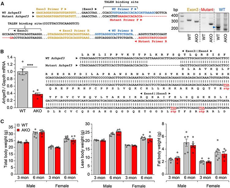 https://cdn.ncbi.nlm.nih.gov/pmc/blobs/fa2a/10232017/35b9f446c942/nihms-1900206-f0002.jpg