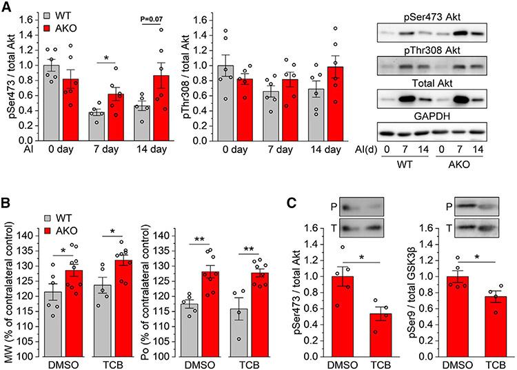 https://cdn.ncbi.nlm.nih.gov/pmc/blobs/fa2a/10232017/392351de9f87/nihms-1900206-f0004.jpg