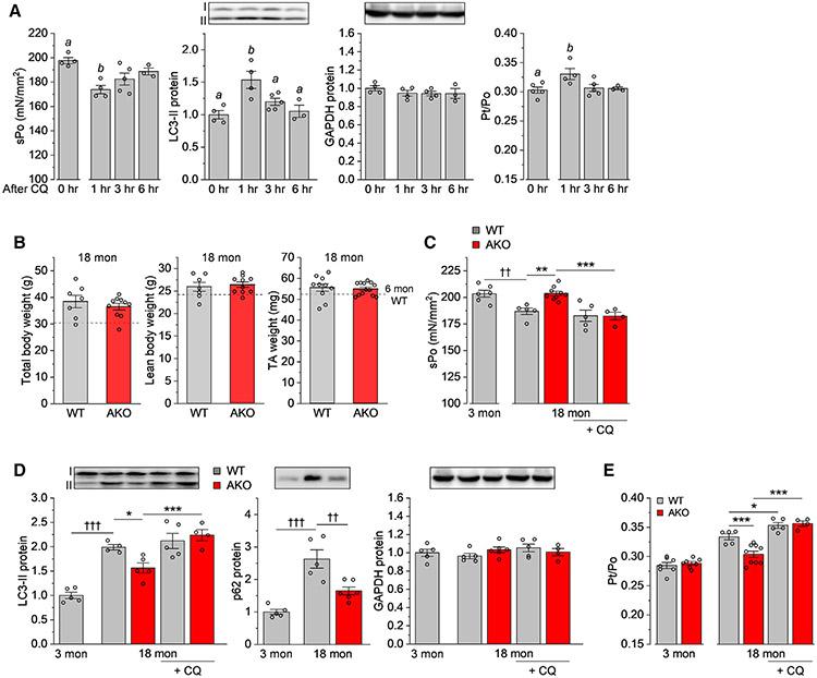 https://cdn.ncbi.nlm.nih.gov/pmc/blobs/fa2a/10232017/a0830cbd7f6f/nihms-1900206-f0007.jpg