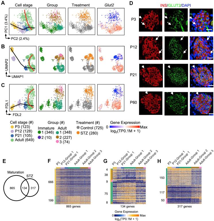 https://cdn.ncbi.nlm.nih.gov/pmc/blobs/fa2a/7184252/21b7d099d5e2/gr3.jpg