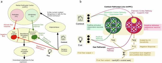 https://cdn.ncbi.nlm.nih.gov/pmc/blobs/fa2b/12033332/14f0d8fe1dd7/42003_2025_8107_Fig1_HTML.jpg
