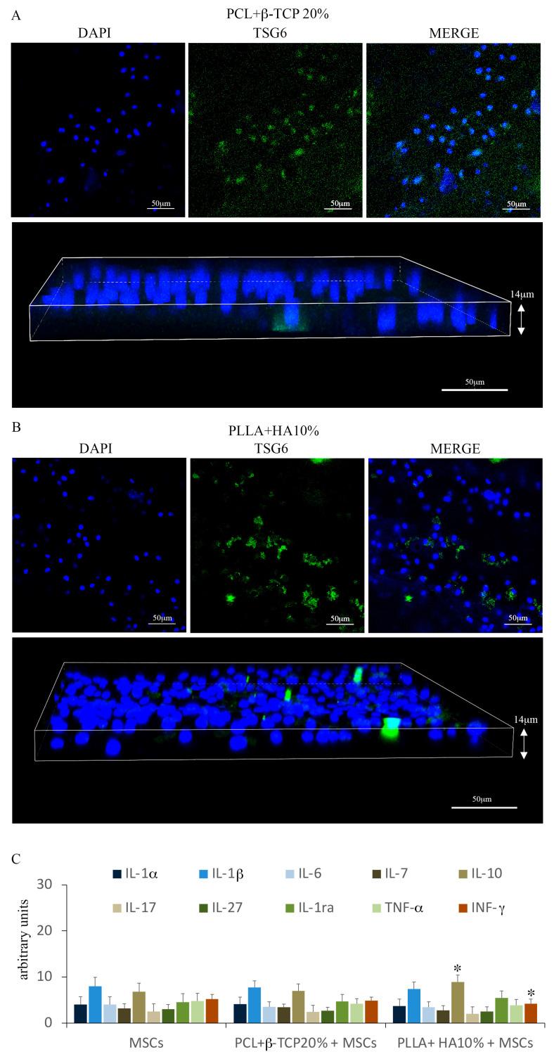 https://cdn.ncbi.nlm.nih.gov/pmc/blobs/fa2f/10740731/1b738a0581de/biology-12-01474-g005.jpg