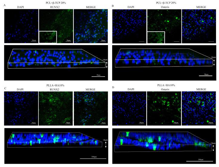 https://cdn.ncbi.nlm.nih.gov/pmc/blobs/fa2f/10740731/701a1442b1f2/biology-12-01474-g006.jpg