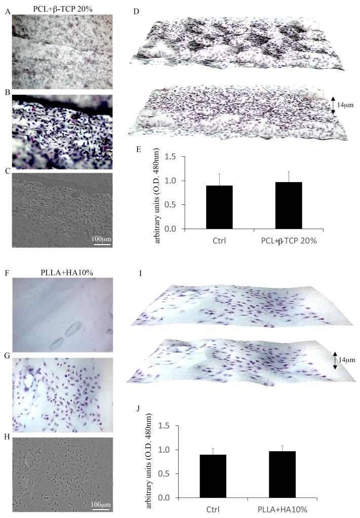 https://cdn.ncbi.nlm.nih.gov/pmc/blobs/fa2f/10740731/eeb489011a5d/biology-12-01474-g003.jpg