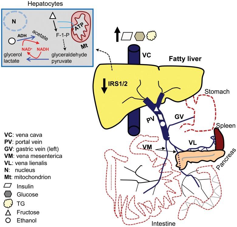https://cdn.ncbi.nlm.nih.gov/pmc/blobs/fa36/4125190/a07b7d7ec72e/pone.0104220.g009.jpg