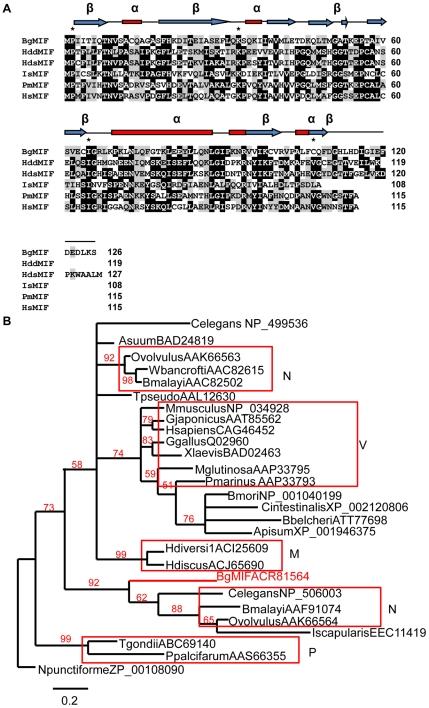 https://cdn.ncbi.nlm.nih.gov/pmc/blobs/fa3b/2944803/2fd1b0683db1/ppat.1001115.g001.jpg