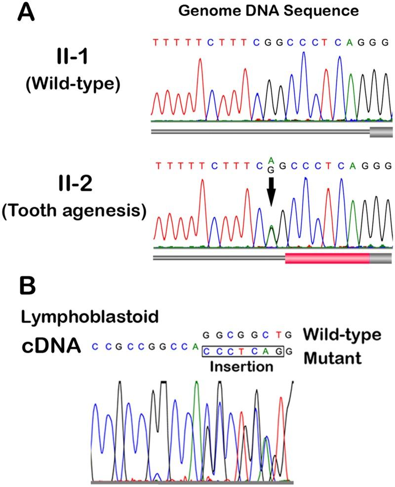 https://cdn.ncbi.nlm.nih.gov/pmc/blobs/fa3b/4451150/15fa8bf376a8/pone.0128227.g002.jpg