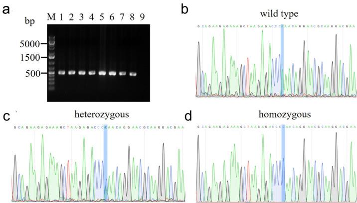 https://cdn.ncbi.nlm.nih.gov/pmc/blobs/fa3c/10014073/1983e92fe9f4/elife-81463-fig3-figsupp1.jpg