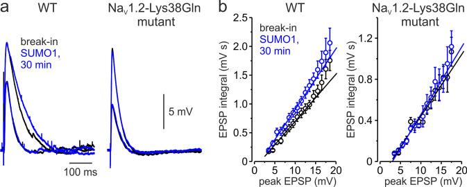 https://cdn.ncbi.nlm.nih.gov/pmc/blobs/fa3c/10014073/e01c2d30c4a0/elife-81463-fig6.jpg